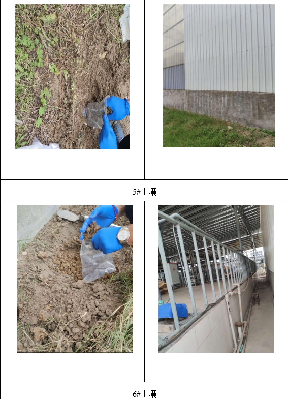 &#20048;&#31454;&#32593;&#39029;&#29256;&#30331;&#24405;&#20837;&#21475;&#45;&#20048;&#31454;&#40;&#20013;&#22269;&#41;